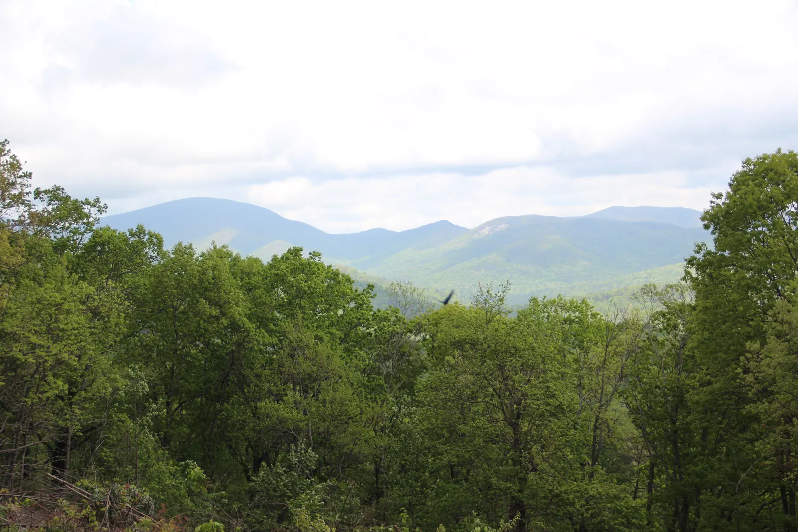 From the Chestatee Overlook off Highway 60, spring-green treetops frame a wide view of blue mountain ridges and a pale rock face across a valley, under a bright cloudy sky.