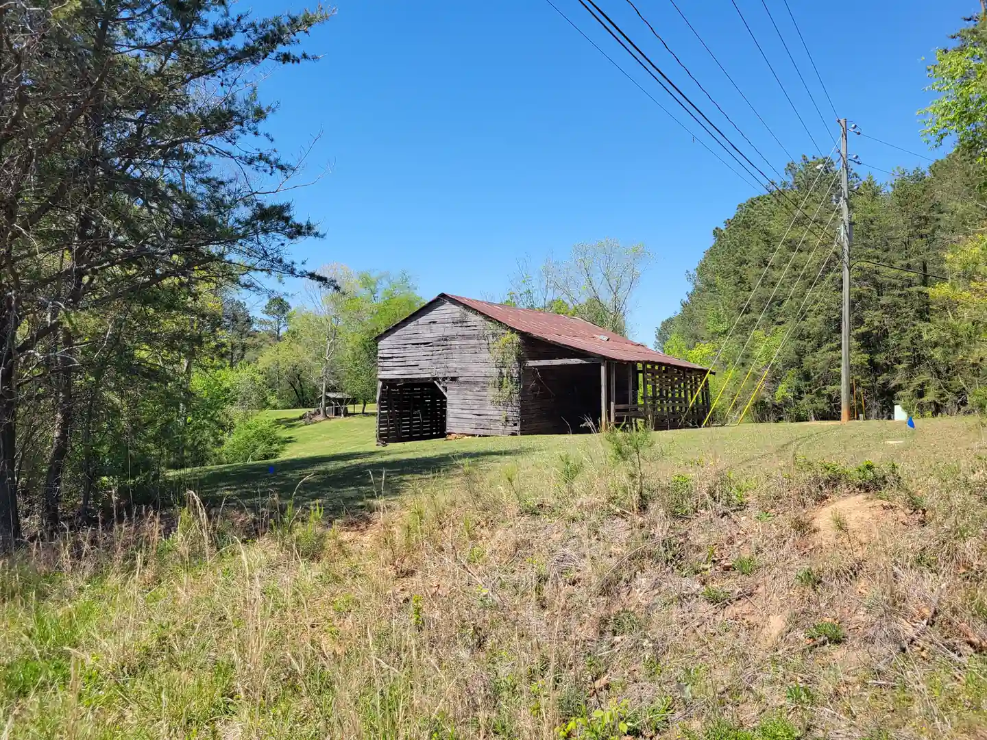 An old gray plank barn with a rusted metal roof, open slatted bays and a lean-to shed sits on a grassy rise beside pines and spring hardwoods, with a utility pole and guy wires to the right and rough grass in the foreground.