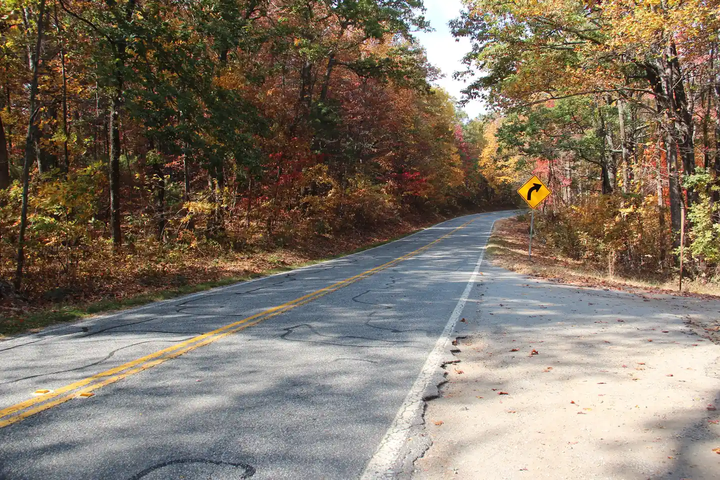 Two-lane Georgia State Route 60 with a double yellow center line curves gently through a dense forest in peak autumn color, with red, orange, gold and brown leaves on both sides and a yellow curve-warning sign on the right shoulder.