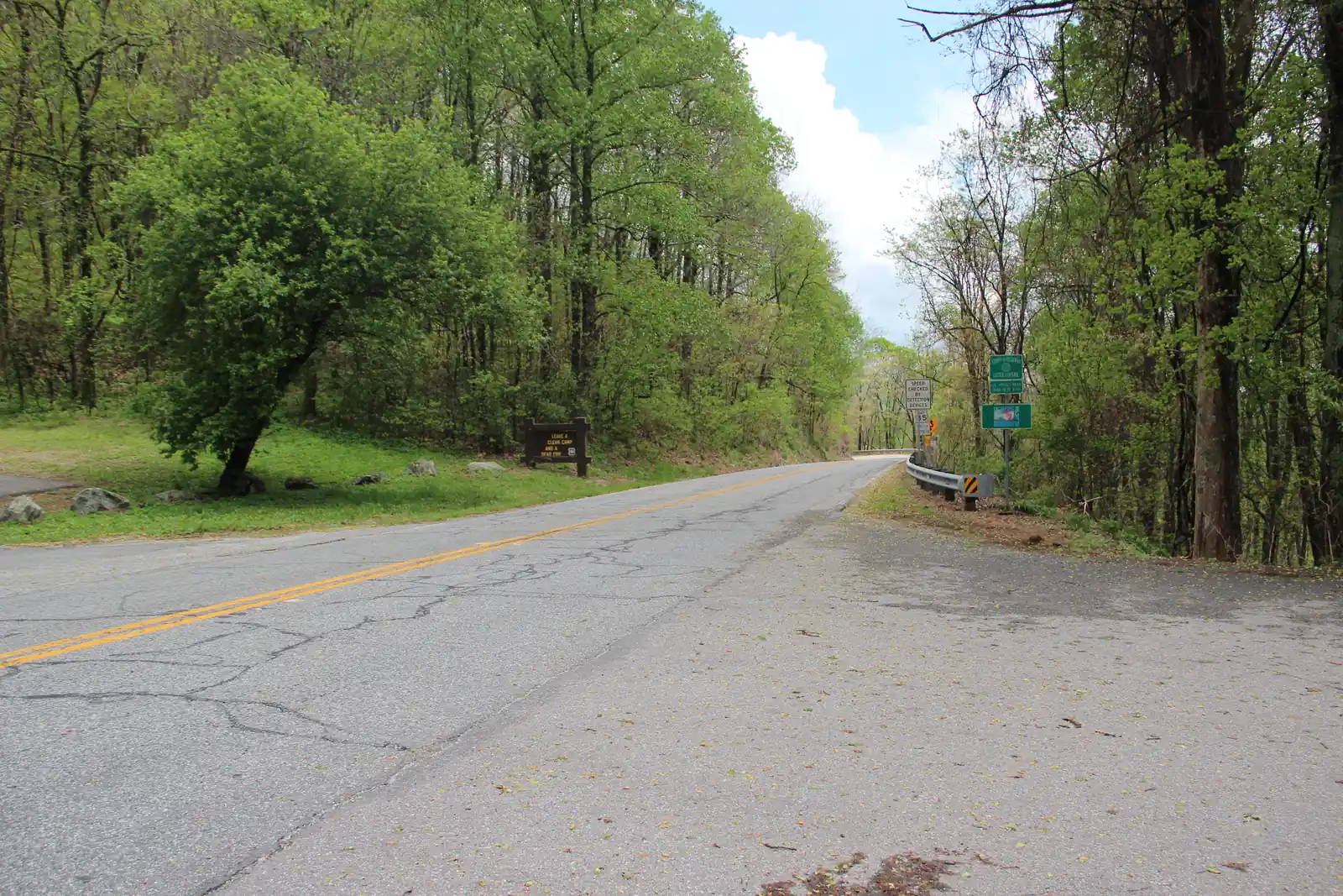 Cracked two-lane Georgia State Route 60 with a double yellow line bends through fresh spring-green forest at Woody Gap. A brown Forest Service sign stands on the grassy left bank, and green and white road signs and a guardrail line the right shoulder.