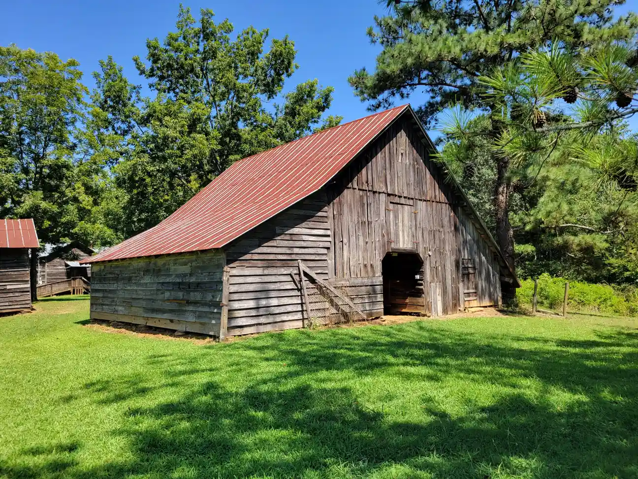 Weathered gray wooden barn with a rust-red metal roof and an open dark doorway stands on a sunlit mowed lawn, with smaller wooden outbuildings and a ramp at left, tall pines and hardwoods behind, and a wire fence at right.