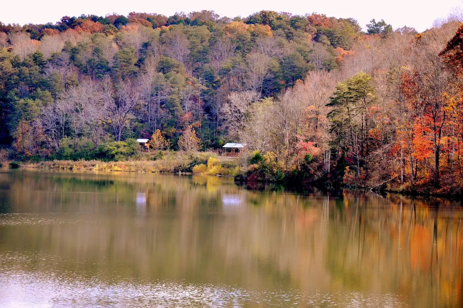 A still lake near Dahlonega mirrors a hillside of vivid fall color, with orange, red and gold hardwoods mixed with green pines. Two small metal-roofed picnic shelters sit at the wooded shoreline on the left. The image is strongly color-saturated.