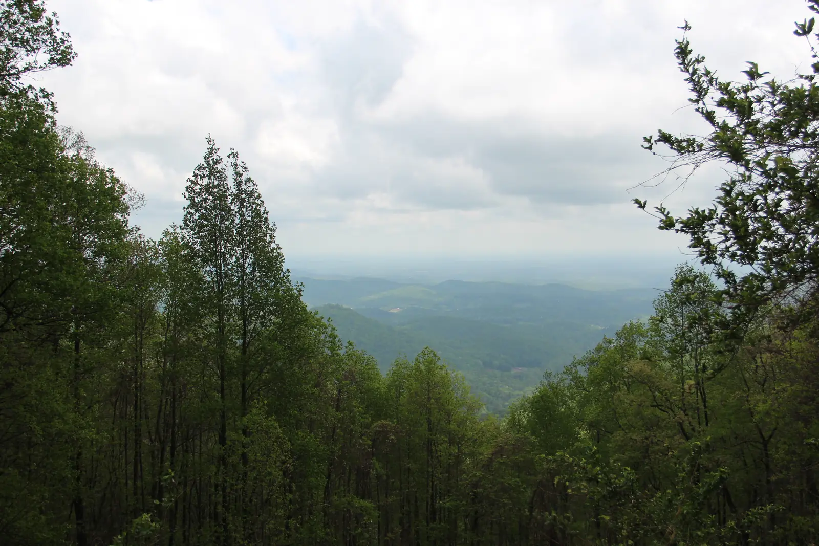 View from Woody Gap through a gap in spring-green trees toward layered forested ridges and valleys of the North Georgia mountains fading into haze under a cloudy white sky.